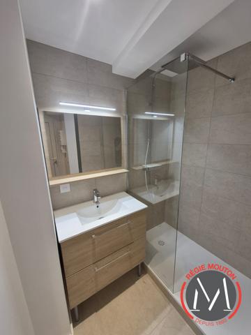 Bel appartement T3 entièrement rénové