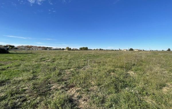 Vente Terrain Gallargues-le-montueux   