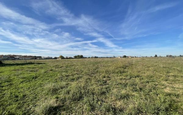 Vente Terrain Gallargues-le-montueux   
