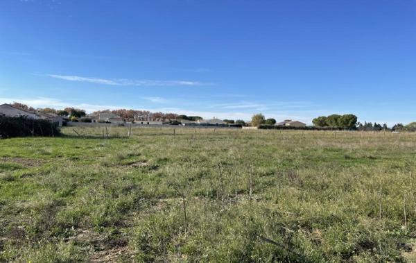 Vente Terrain Gallargues-le-montueux   