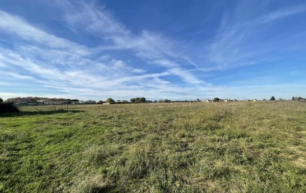 Vente Terrain Gallargues-le-montueux   
