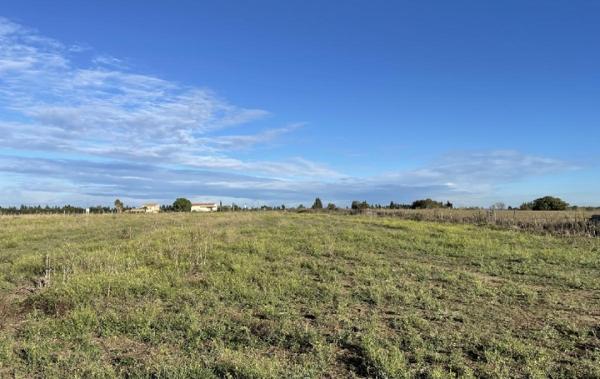 Vente Terrain Gallargues-le-montueux   