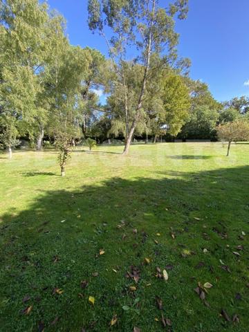“Découvrez cette magnifique maison de caractère en toit de chaume, nichée dans un cadre verdoyant et