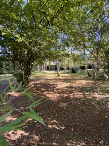 “Découvrez cette magnifique maison de caractère en toit de chaume, nichée dans un cadre verdoyant et