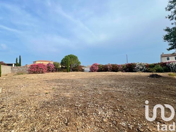 Terrain à vendre 1 015 m² La Palme