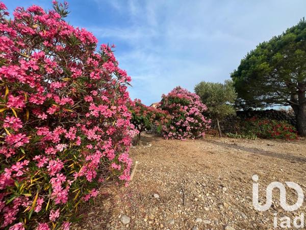 Terrain à vendre 1 015 m² La Palme