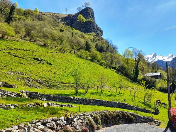Demeure de prestige en vallée d'Ossau