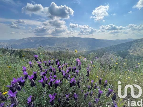 Terrain à vendre 39 551 m² Vidauban