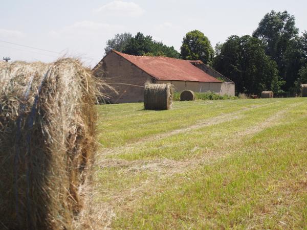 La Loupe (28240) Au coeur du Perche, à rénover longère & étable sur 3,5 hectares