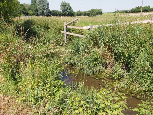 La Loupe (28240) Au coeur du Perche, à rénover longère & étable sur 3,5 hectares