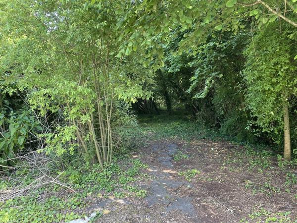 Friche industrielle 250 000 € H.A.I.*