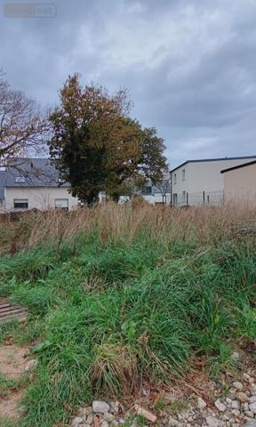 Terrain à Batir à vendre à Plonéour-Lanvern dans le Finistère (29720), ref : 29016-1134