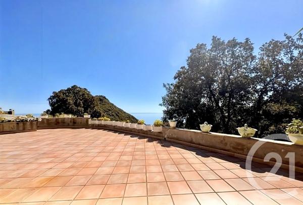 Maison à vendre  12 pièces - 487 m 2   SAN MARTINO DI LOTA  - 202