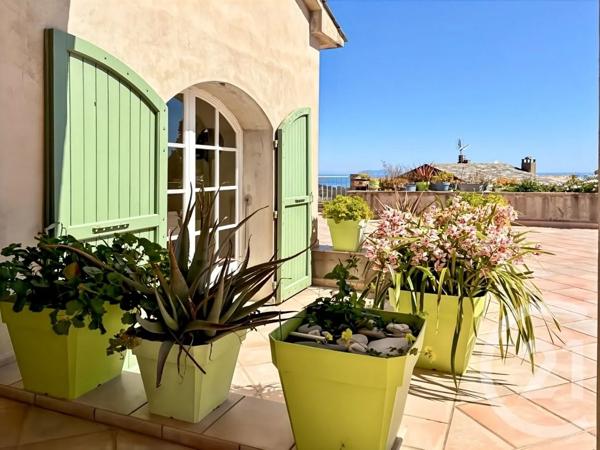 Maison à vendre  12 pièces - 487 m 2   SAN MARTINO DI LOTA  - 202