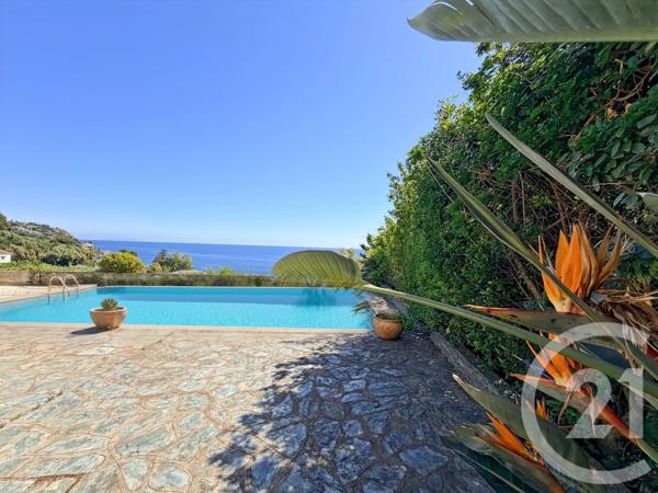 Maison à vendre  12 pièces - 487 m 2   SAN MARTINO DI LOTA  - 202
