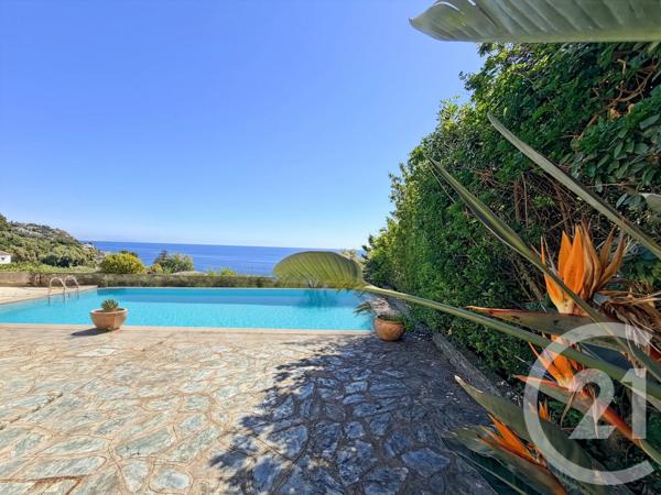 Maison à vendre  12 pièces - 487 m 2   SAN MARTINO DI LOTA  - 202