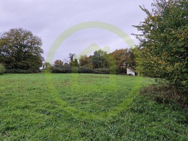 Terrain à LE BLANC (36300)