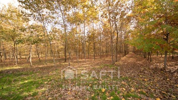 calme et sérénité