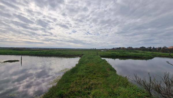 Marais Talmont Saint Hilaire