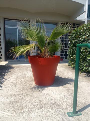 ALBI . Studio de 19 m²