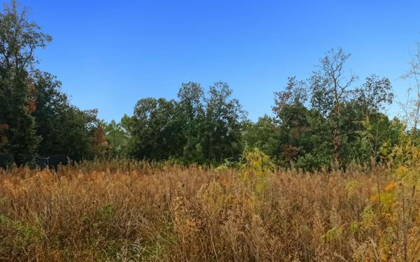 Terrain à vendre    Uzès