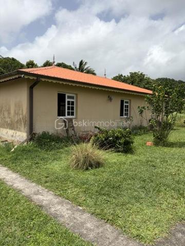 Élégante villa de plain-pied de 114 m² – Un véritable havre de paix à deux pas de l'océan - 
Basse-Pointe, Martinique.

Au cœur d’un environnement résidentiel calme et verdoyant, découvrez cette charmante villa de plain-pied où confort, élégance et qualité de vie se rencontrent harmonieusement.

Édifiée sur un magnifique terrain clos, arboré et piscinable de 1 000 m², cette propriété offre un cadre de vie privilégié, à seulement quelques minutes du littoral et de ses paysages d’exception.

Dès l’entrée, les volumes généreux et la luminosité naturelle séduisent instantanément. La maison développe 114 m² habitables parfaitement agencés, avec une vaste pièce de vie baignée de lumière invitant à la convivialité, prolongée par une spacieuse cuisine fonctionnelle, idéale pour partager de précieux moments en famille ou entre amis.

L’espace nuit, indépendant des pièces de réception, assure calme, intimité et confort au quotidien.

À l’extérieur, la superbe terrasse couverte de 39 m² constitue une véritable pièce de vie supplémentaire. Elle vous permettra de profiter pleinement du climat tropical en toute saison, pour vos repas, vos instants de détente ou vos réceptions face à un jardin soigneusement entretenu.

Le vaste terrain, entièrement clos et joliment arboré, laisse entrevoir de nombreuses possibilités d’aménagement, notamment la réalisation d’une piscine, afin de créer un espace extérieur à votre image.

Construite avec des matériaux de qualité et bénéficiant d’équipements modernes, cette villa allie fonctionnalité, esthétique et potentiel. Que vous recherchiez une résidence principale, une résidence secondaire ou un investissement patrimonial, cette propriété répondra à toutes vos attentes.

Les atouts de cette propriété :
 
•	Villa de plain-pied de 114 m² habitables construite en 2010
•	Terrain clos, arboré et piscinable de 1 000 m²
•	Superbe terrasse couverte de 39 m²
•	Grande pièce de vie lumineuse
•	Cuisine spacieuse et conviviale
•	Espace nuit indépendant
•	Environnement résidentiel calme
•	Proximité immédiate de l'océan
•	Beau potentiel d’aménagement
•	Cadre de vie privilégié entre nature et littoral

Une propriété pleine de charme où il fait bon vivre, offrant un équilibre parfait entre confort, sérénité et douceur de vivre.

Une opportunité rare sur le secteur de Basse-Pointe, Martinique. 

Contactez-nous dès aujourd’hui pour organiser une visite privée et découvrir tout le potentiel de cette belle villa.