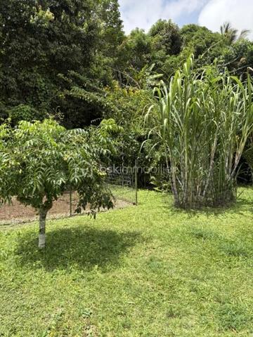 Élégante villa de plain-pied de 114 m² – Un véritable havre de paix à deux pas de l'océan - 
Basse-Pointe, Martinique.

Au cœur d’un environnement résidentiel calme et verdoyant, découvrez cette charmante villa de plain-pied où confort, élégance et qualité de vie se rencontrent harmonieusement.

Édifiée sur un magnifique terrain clos, arboré et piscinable de 1 000 m², cette propriété offre un cadre de vie privilégié, à seulement quelques minutes du littoral et de ses paysages d’exception.

Dès l’entrée, les volumes généreux et la luminosité naturelle séduisent instantanément. La maison développe 114 m² habitables parfaitement agencés, avec une vaste pièce de vie baignée de lumière invitant à la convivialité, prolongée par une spacieuse cuisine fonctionnelle, idéale pour partager de précieux moments en famille ou entre amis.

L’espace nuit, indépendant des pièces de réception, assure calme, intimité et confort au quotidien.

À l’extérieur, la superbe terrasse couverte de 39 m² constitue une véritable pièce de vie supplémentaire. Elle vous permettra de profiter pleinement du climat tropical en toute saison, pour vos repas, vos instants de détente ou vos réceptions face à un jardin soigneusement entretenu.

Le vaste terrain, entièrement clos et joliment arboré, laisse entrevoir de nombreuses possibilités d’aménagement, notamment la réalisation d’une piscine, afin de créer un espace extérieur à votre image.

Construite avec des matériaux de qualité et bénéficiant d’équipements modernes, cette villa allie fonctionnalité, esthétique et potentiel. Que vous recherchiez une résidence principale, une résidence secondaire ou un investissement patrimonial, cette propriété répondra à toutes vos attentes.

Les atouts de cette propriété :
 
•	Villa de plain-pied de 114 m² habitables construite en 2010
•	Terrain clos, arboré et piscinable de 1 000 m²
•	Superbe terrasse couverte de 39 m²
•	Grande pièce de vie lumineuse
•	Cuisine spacieuse et conviviale
•	Espace nuit indépendant
•	Environnement résidentiel calme
•	Proximité immédiate de l'océan
•	Beau potentiel d’aménagement
•	Cadre de vie privilégié entre nature et littoral

Une propriété pleine de charme où il fait bon vivre, offrant un équilibre parfait entre confort, sérénité et douceur de vivre.

Une opportunité rare sur le secteur de Basse-Pointe, Martinique. 

Contactez-nous dès aujourd’hui pour organiser une visite privée et découvrir tout le potentiel de cette belle villa.