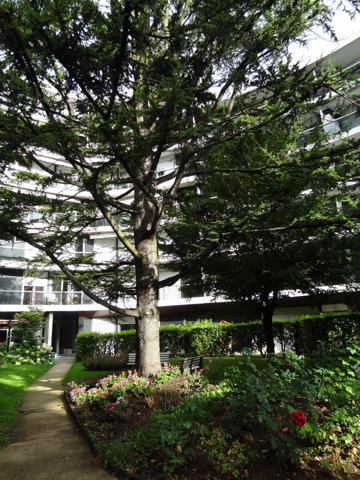 Saint-Maurice (94410) Saint-Maurice (94410) Appartement 2 pièces de 51.5m2 en Résidence avec Services pour Seniors