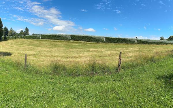 Maison à vendre    5 pièces •  Arnac-Pompadour