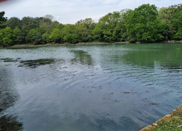 Terrain à vendre    484 m2 Loctudy