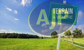 Vente terrain Lege Cap Ferret : 255 000 € - AJP Immobilier Lège-Cap-Ferret
