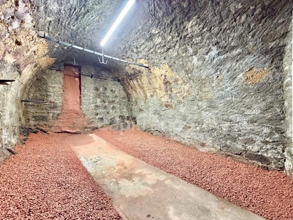 APPARTEMENT T2 DE 48 M2 AU REZ-DE-CHAUSSEE, 1 CHAMBRE, PROCHE ÉCOLES ET COLLÈGES, FIBRE OPTIQUE, CAVE VOUTÉE