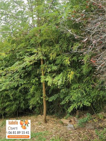 Maison de plain pied individuelle avec jardin