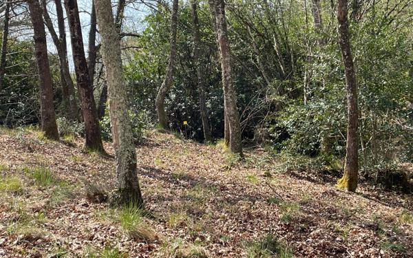 Terrain à vendre    Lit-et-Mixe