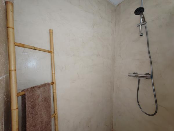 Arles (13200) Quartier Mouleyrès, agréable maison de ville année 60 avec jardin.