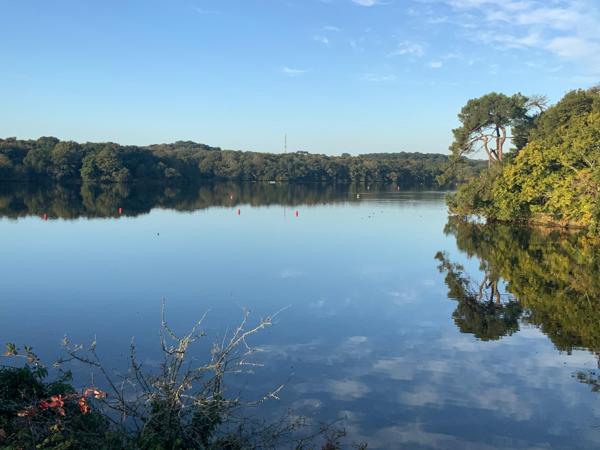 TRES BELLE CONTEMPORAINE