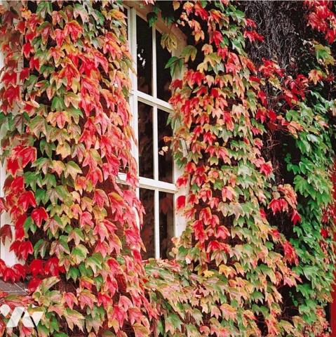 Maison vue dégagée Oudon bourg 139m² - 4 chambres- Terrain 6249 m²