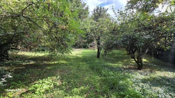 Maison vue dégagée Oudon bourg 139m² - 4 chambres- Terrain 6249 m²