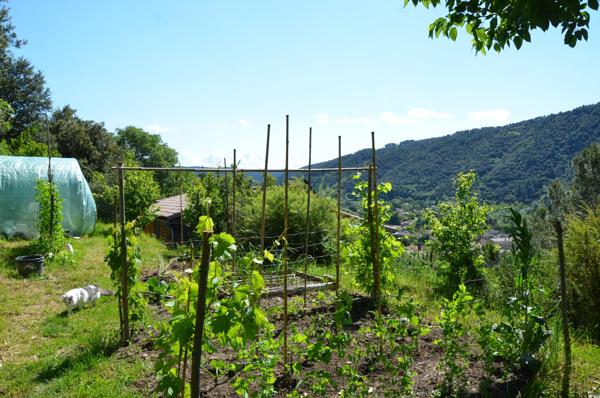 Vente / Maison en pierre