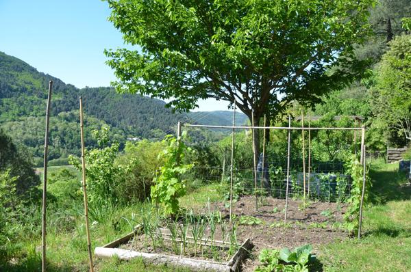 Vente / Maison en pierre