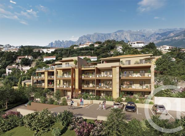 Appartement F2 à vendre  2 pièces - 48,50 m2 SARI SOLENZARA - 201