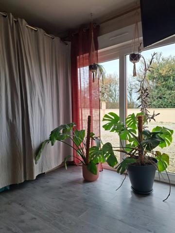 Maison 4 chambres 116m2 +double garage,  grande piece de vie plein sud, double garage. sur 2400m terrain, clos, Secteur Fresnays/ Sarthe- Ancinnes