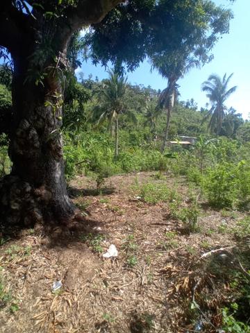 Terrain à bâtir à vendre Nyambadao Commune de BANDRÉLÉ (976)