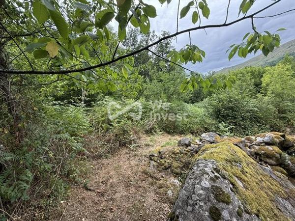 grand terrain de 3800m² avec permis