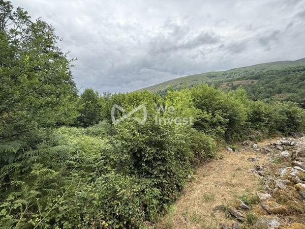 grand terrain de 3800m² avec permis