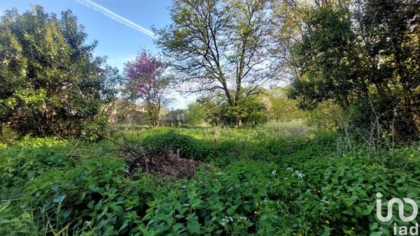 Maison 5 pièces de 218 m² à Castillon-la-Bataille (33350)