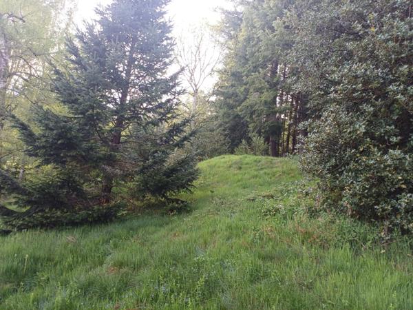 Maison à vendre 6 pièces VOLLORE VILLE (63)