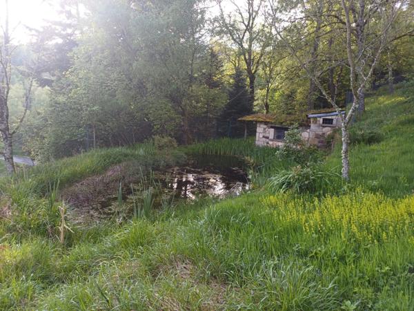 Maison à vendre 6 pièces VOLLORE VILLE (63)