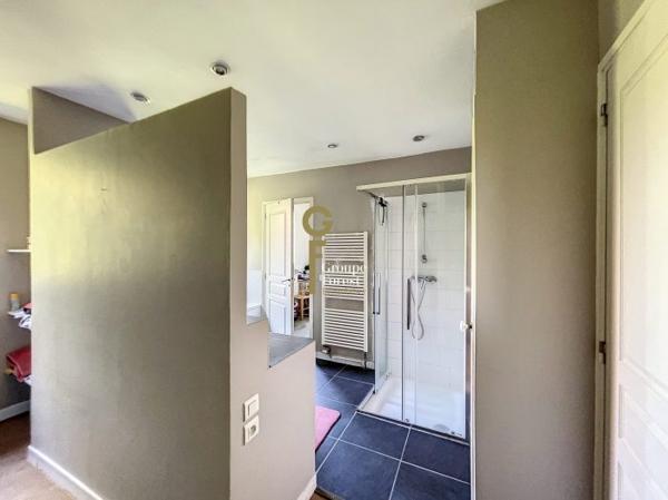 Maison individuelle Croix Secteur Croix-Hem-Roubaix 176 m²