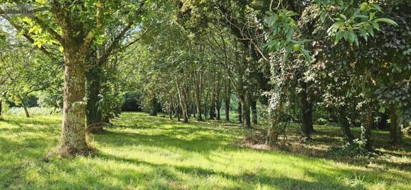 Immeuble à vendre à Tréméoc dans le Finistère (29120), ref : 29152-119